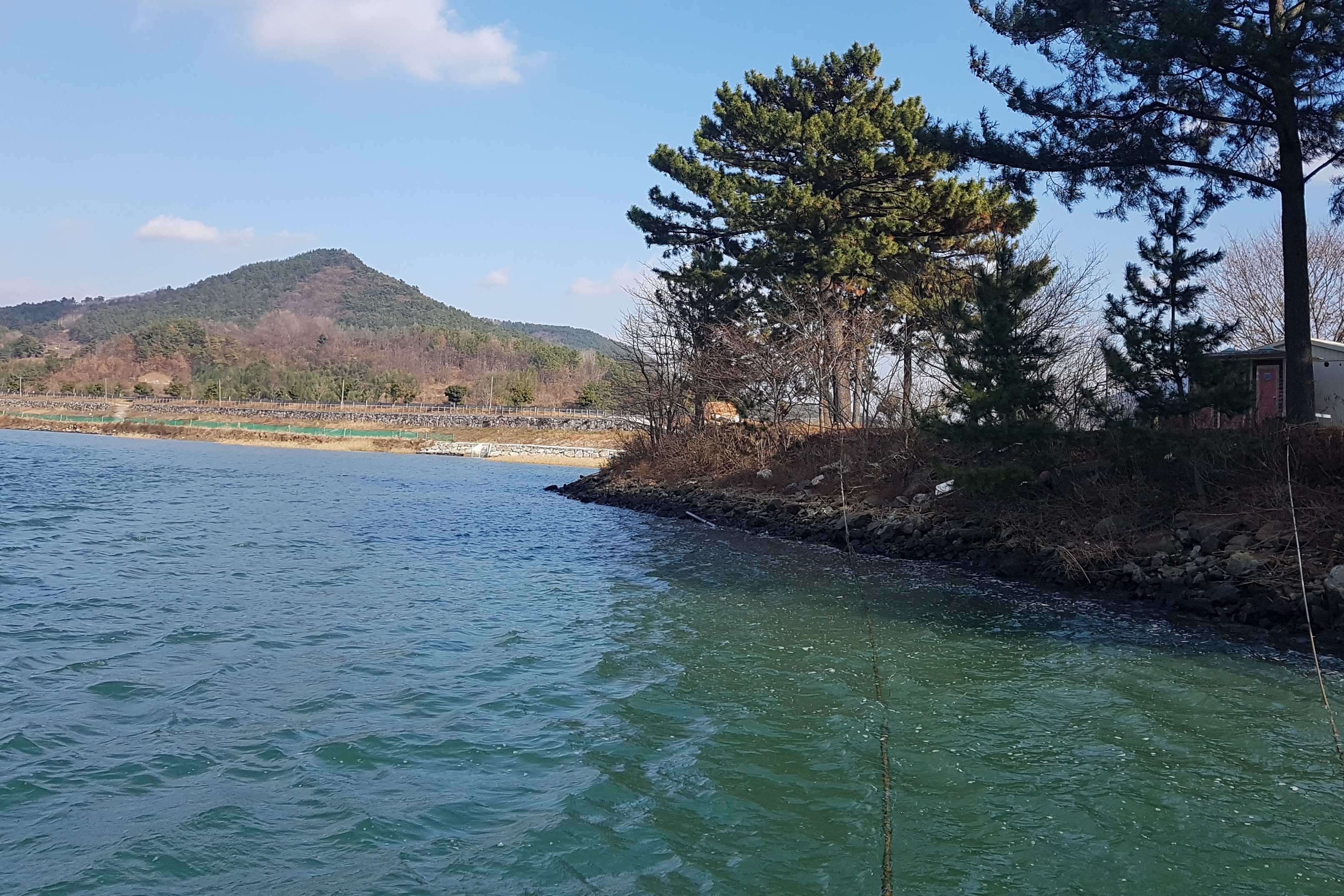 조개섬 재첩 (박종윤) | 작가 피드 조개섬 재첩 (박종윤)