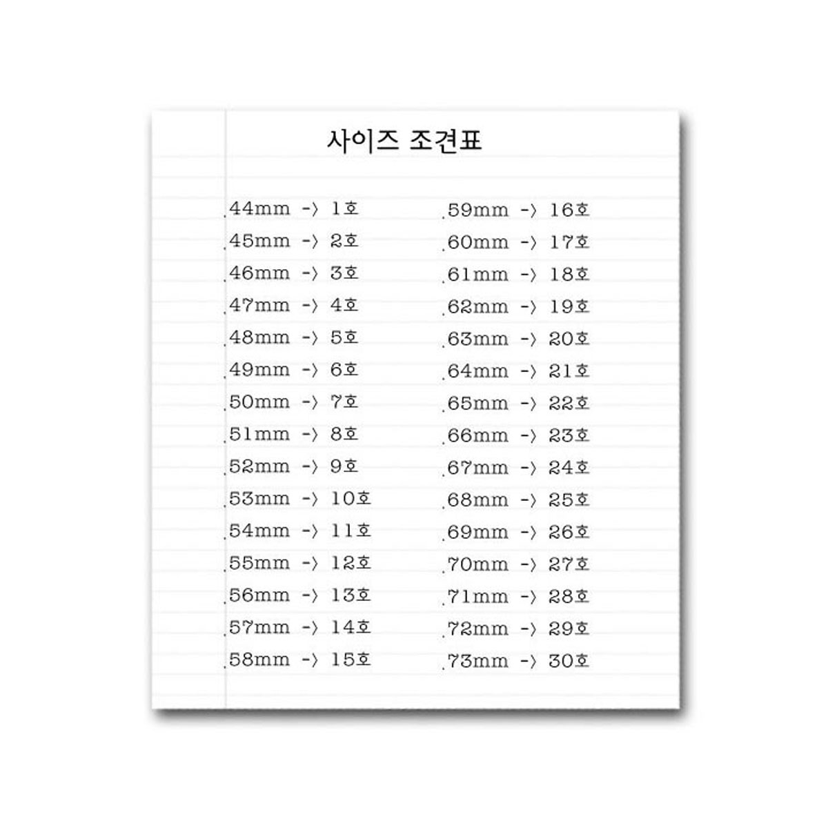 RS-164 메멘토모리반지 | 아이디어스