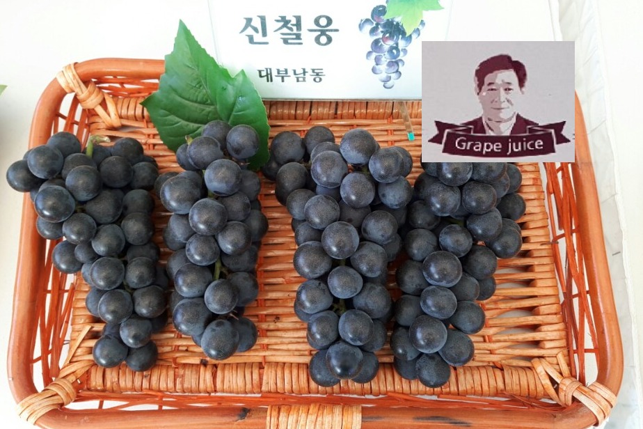 다원포도농장 | 작가 피드 다원포도농장