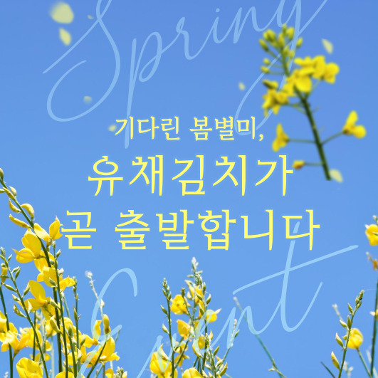 봄의주방