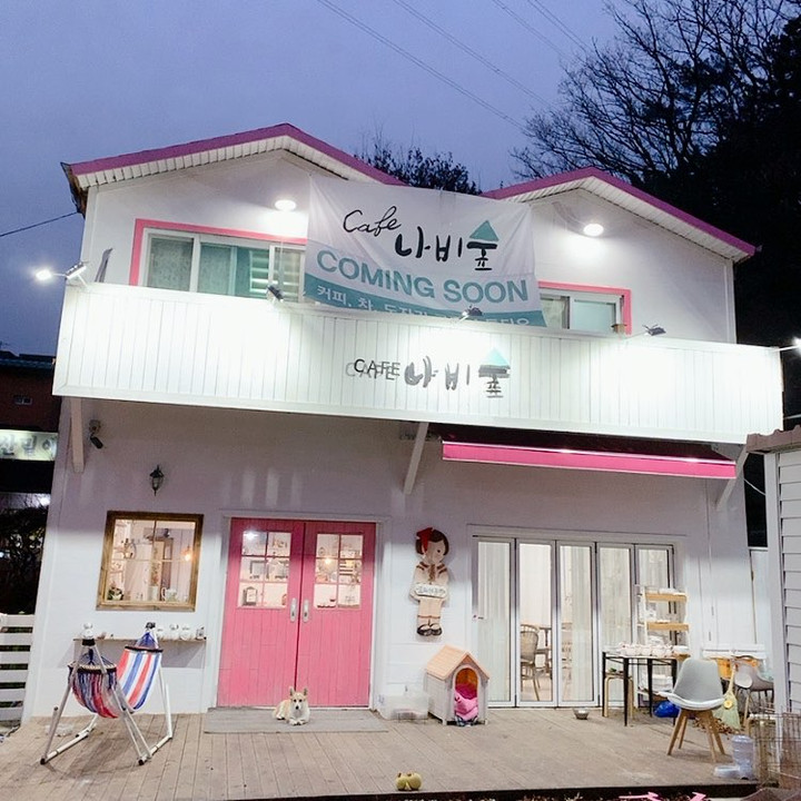 나비숲 | 스토리  나비숲
