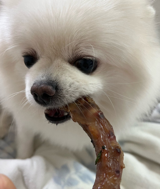 강아지 대용량 건조간식 - 돼지꼬리 200g | 아이디어스 강아지 대용량 건조간식 - 돼지꼬리 200g