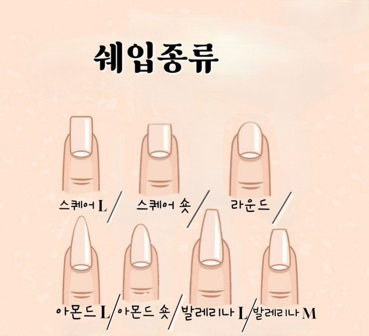 쉐입종류