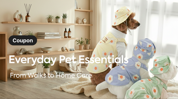 Everyday Essentials for Your Companion