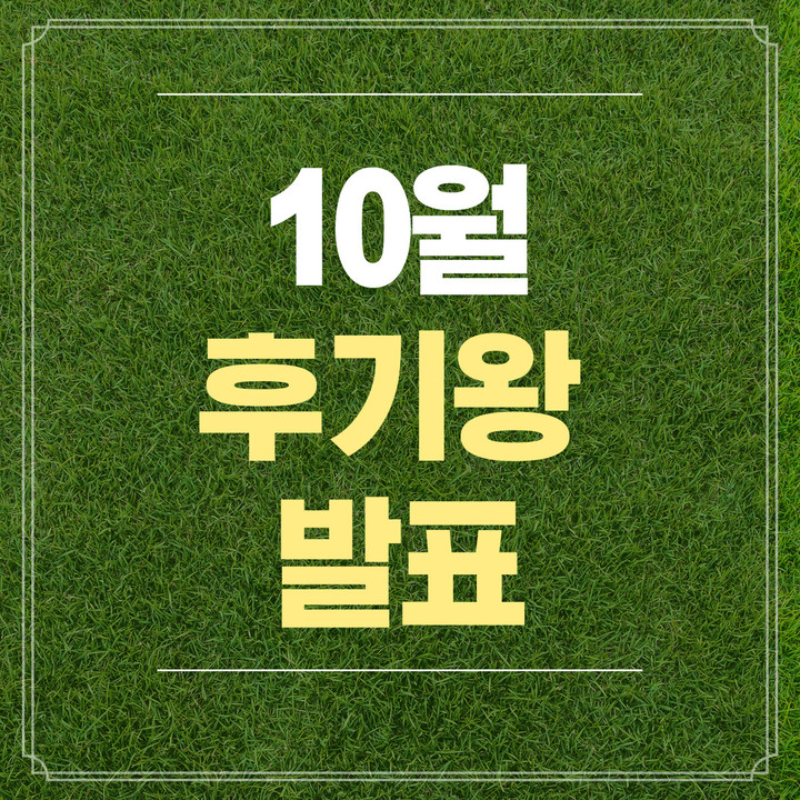 도깨비상점 | 작가 피드 도깨비상점