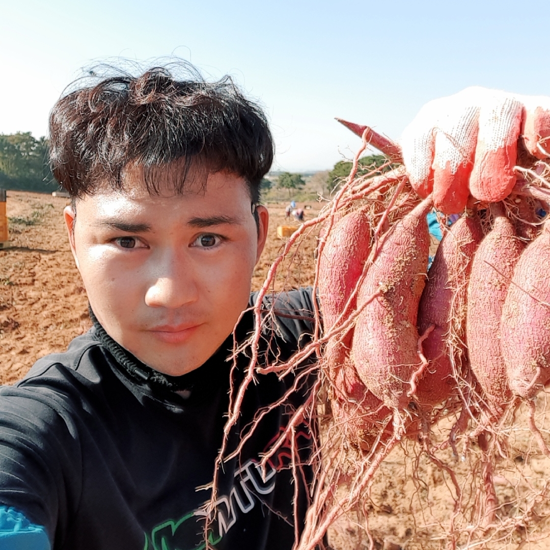 충남논산 나나팜 | 판매중인 작품 충남논산 나나팜