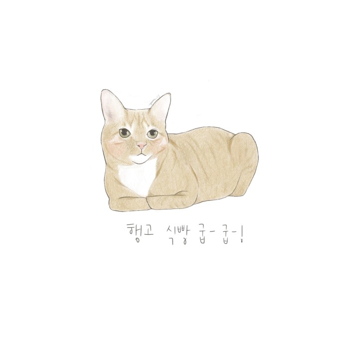 🌈 색연필 감성 💛 고양이 강아지 일러스트 🐾 | 아이디어스