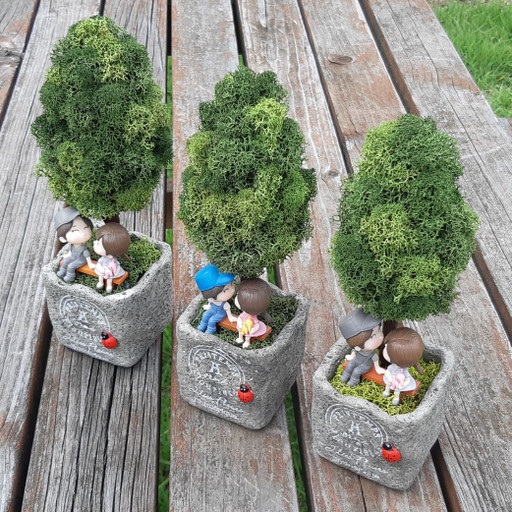 스칸디아모스 나무 커플화분 | 아이디어스 - 핸드메이드, 수공예, 수제 먹거리