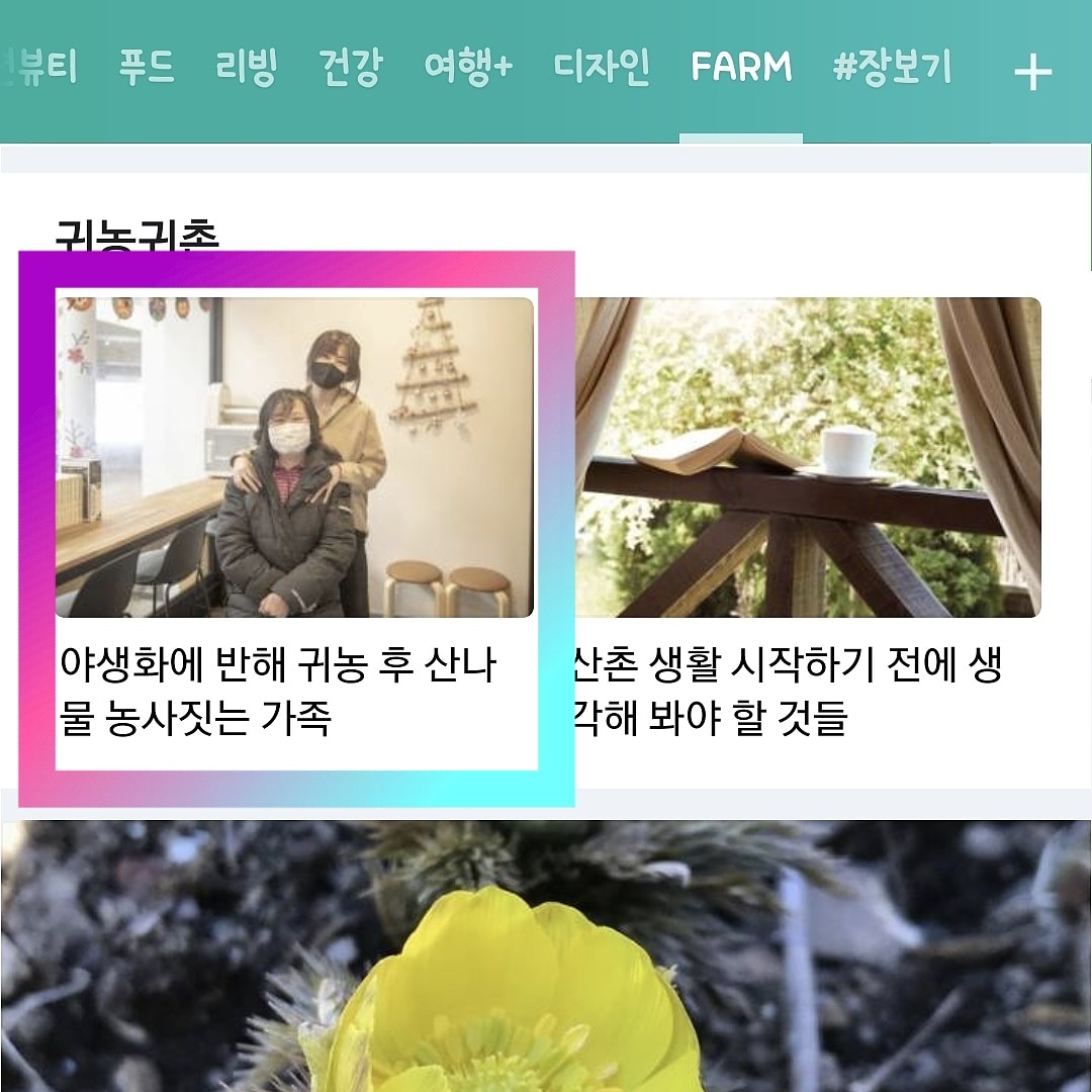 천지수향 아름담음 | 피드 천지수향 아름담음