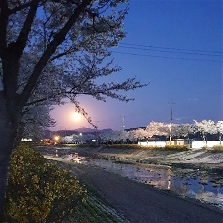 홍삼천하 | 스토리  홍삼천하