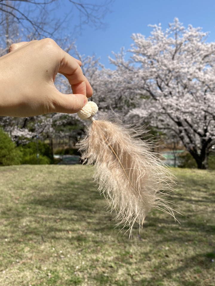 포슬이 고양이 장난감