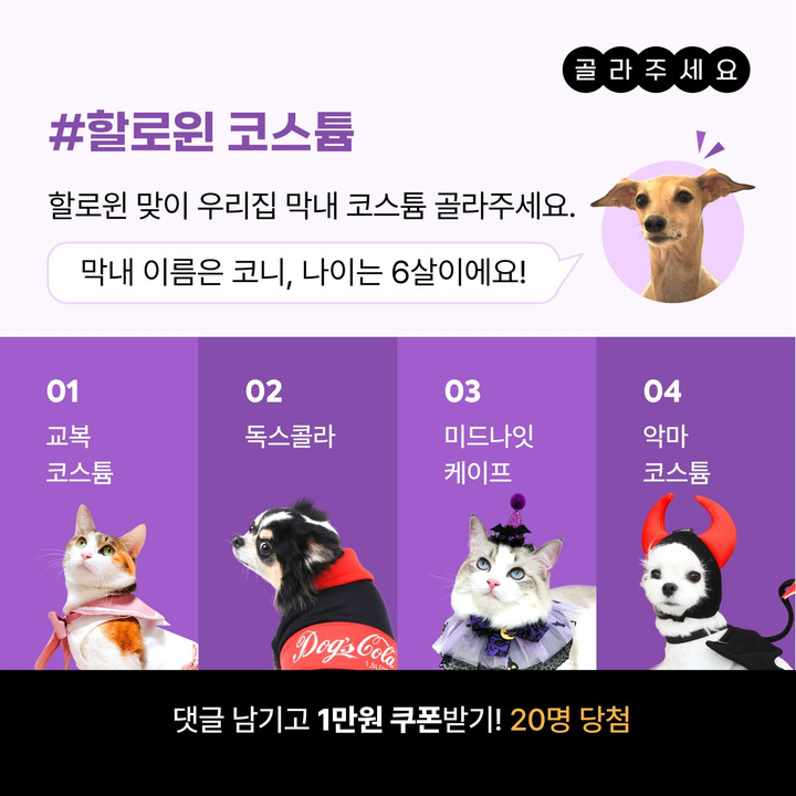 아이디어스(idus)_official | 작가 피드