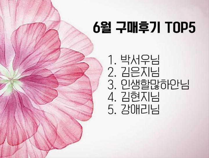 DAVACE_ 다바크 | 스토리  DAVACE_ 다바크