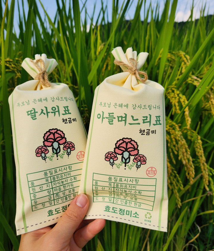 자식농사 쌀포대 용돈 현금 봉투 생신 생일 환갑 | 아이디어스