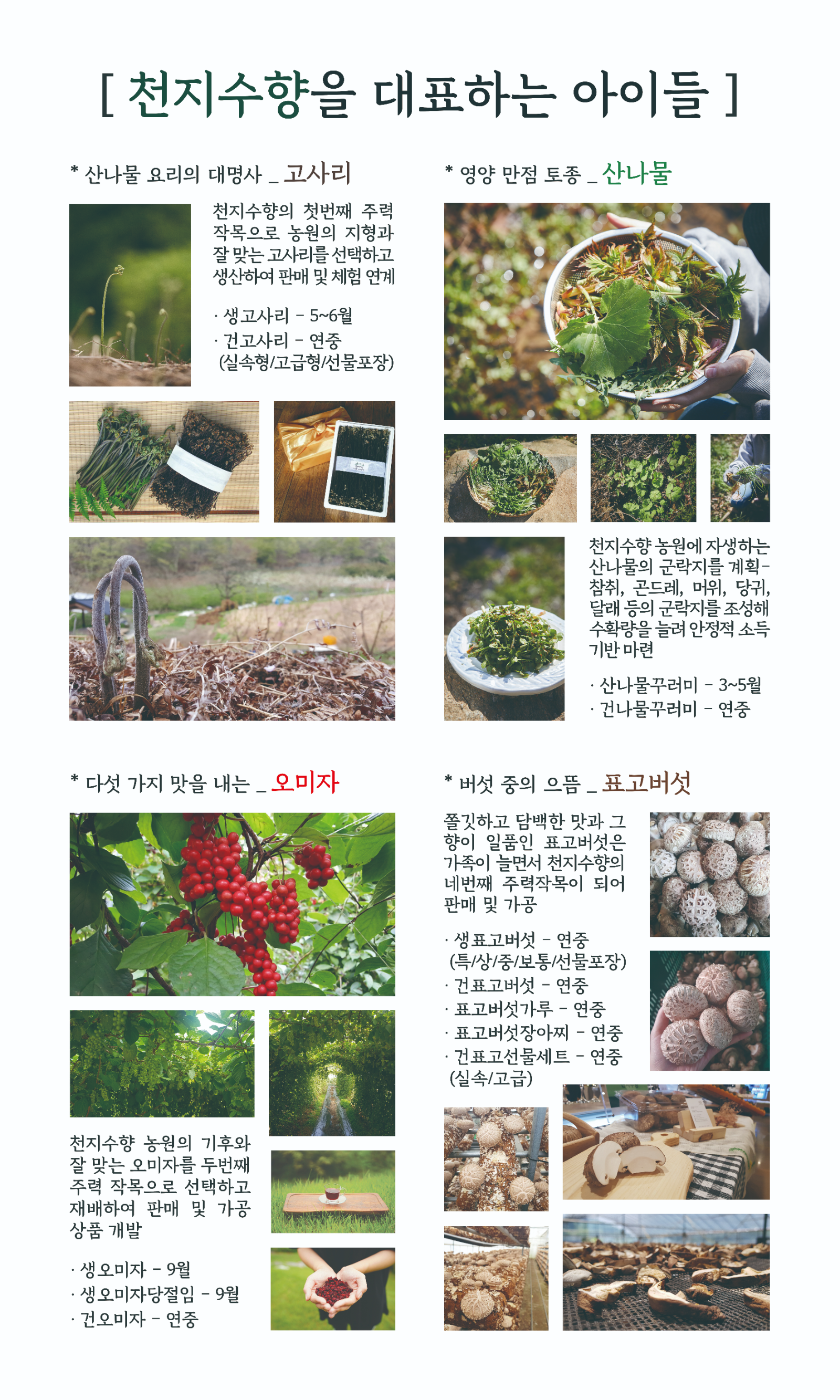 천지수향 아름담음 | 피드 천지수향 아름담음