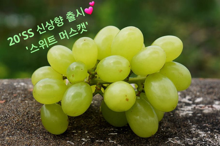 제이앤페리 | 스토리  제이앤페리
