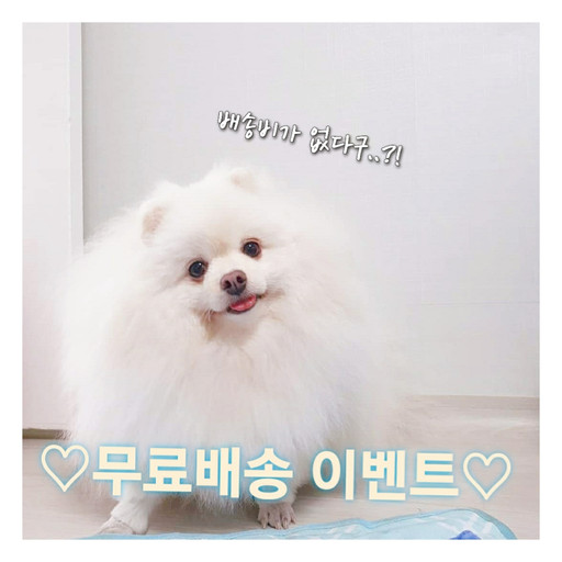 마이또