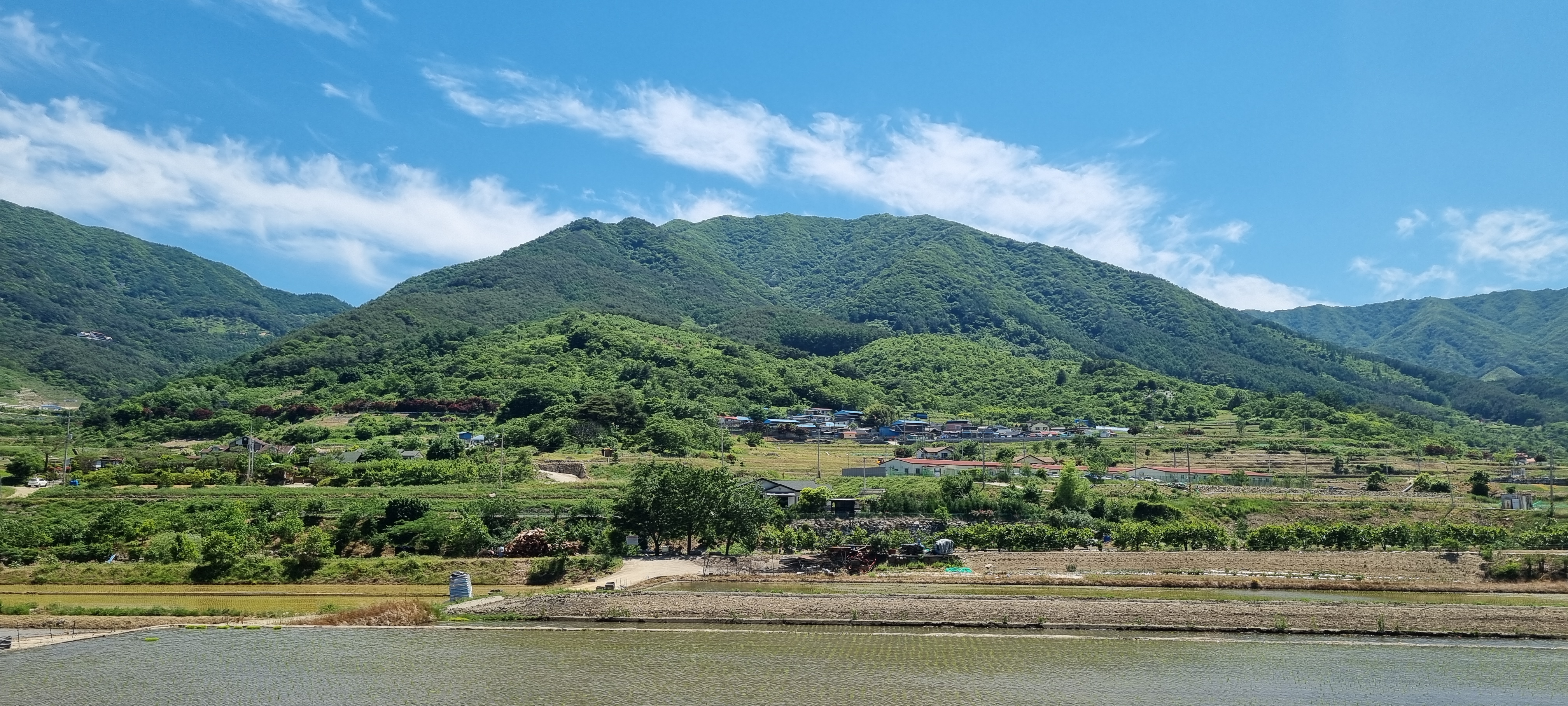경남산청 기찬농원 | 피드 경남산청 기찬농원