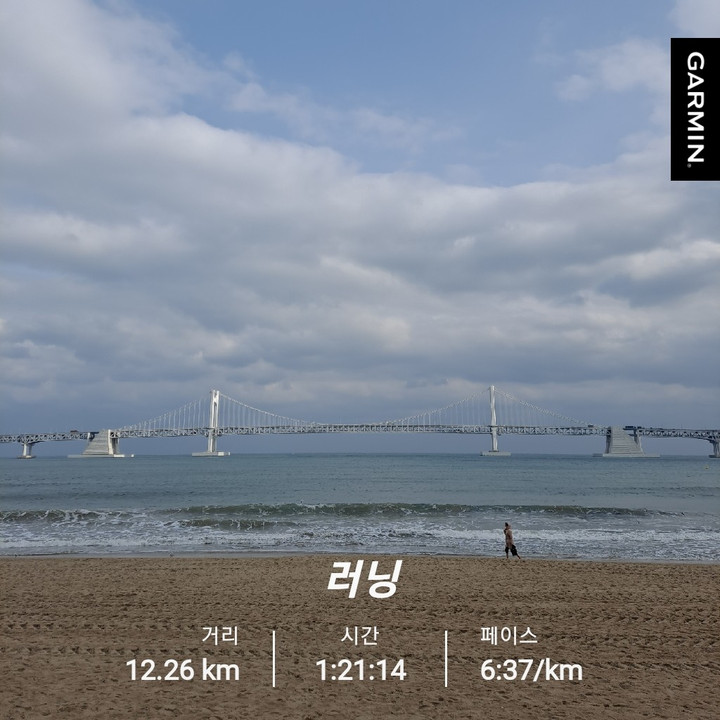 도로시베이커리 | 작가 피드 도로시베이커리