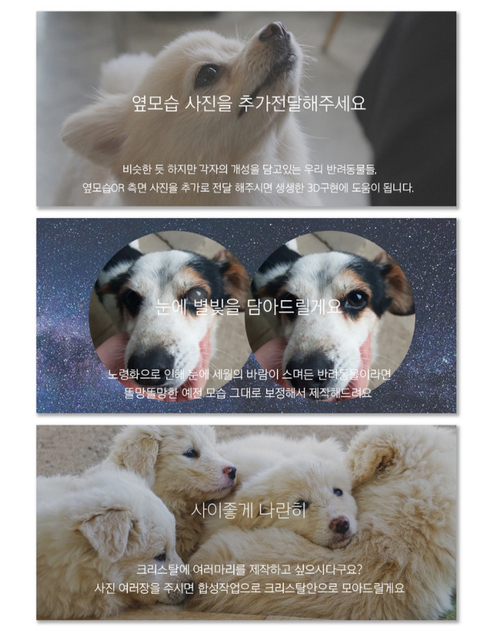 반려동물 3D 액자 🐾 하랑별펫 | 아이디어스