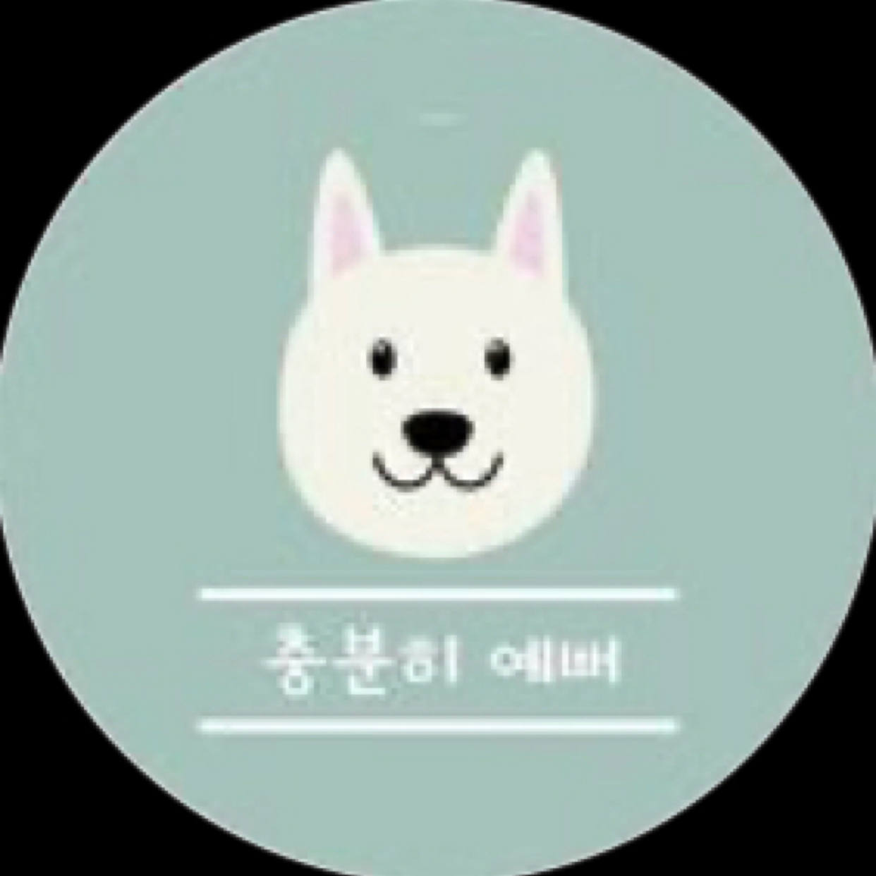 마지막 🦁 사자 카드지갑 🦁 할인판매 ! | 아이디어스   마지막 🦁 사자 카드지갑 🦁 할인판매 !