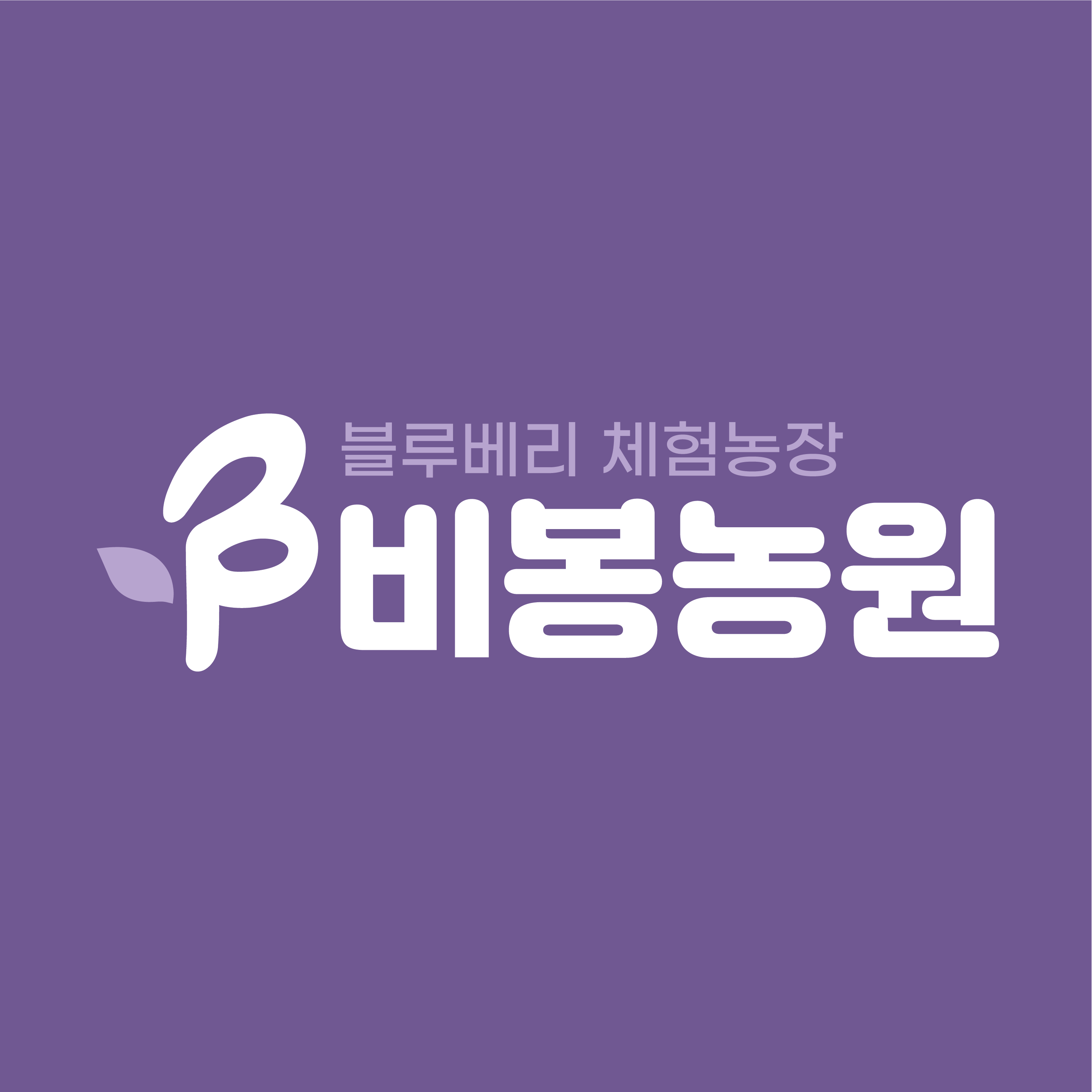 비봉농원 블루베리 체험농장 | 판매중인 작품 비봉농원 블루베리 체험농장