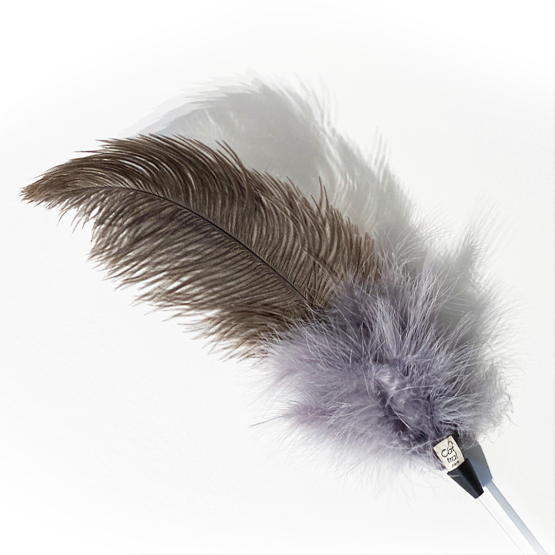 Ostrich Feather Stick Real Feather Natural Feather Cat Toys Feather Fishing Rack
