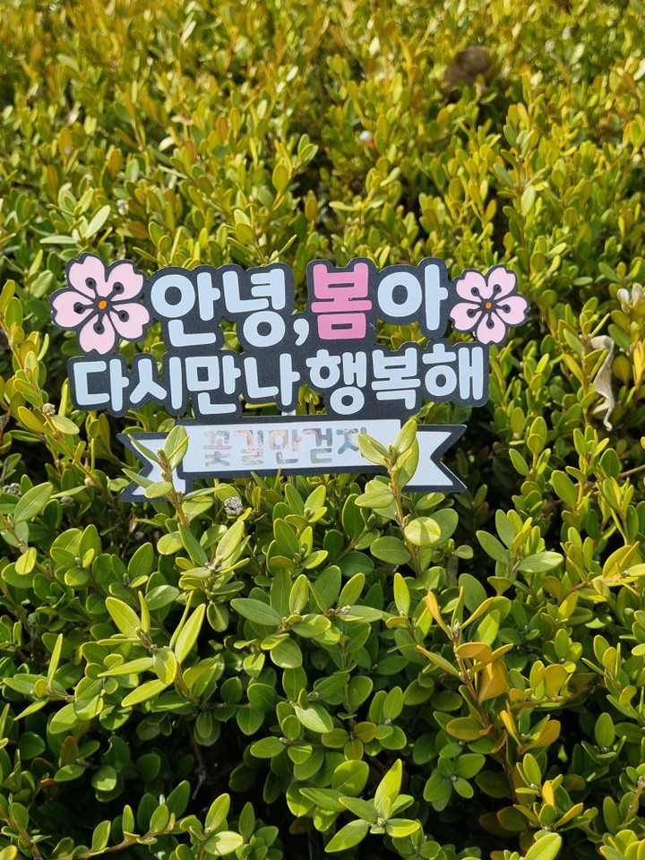 솔리토퍼 | 작가 피드 솔리토퍼 