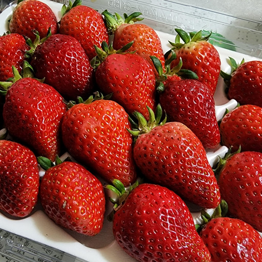 농장직송🍓맛있는 딸기🍓설향 500g생과디저트과일선물 | 아이디어스 - 핸드메이드, 수공예, 수제 먹거리 농장직송🍓맛있는 딸기🍓설향... 