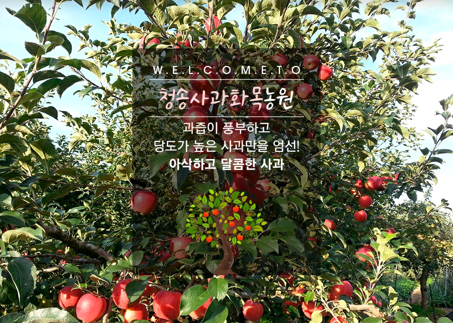 청송사과화목농원 | 구매후기 청송사과화목농원