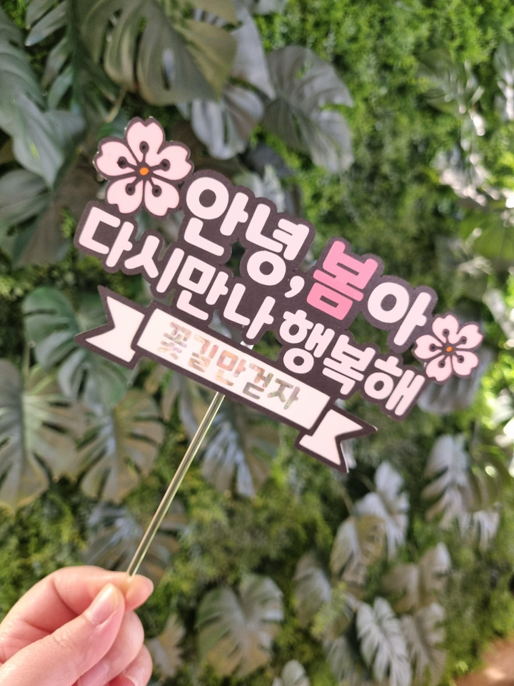 솔리토퍼 | 작가 피드 솔리토퍼 