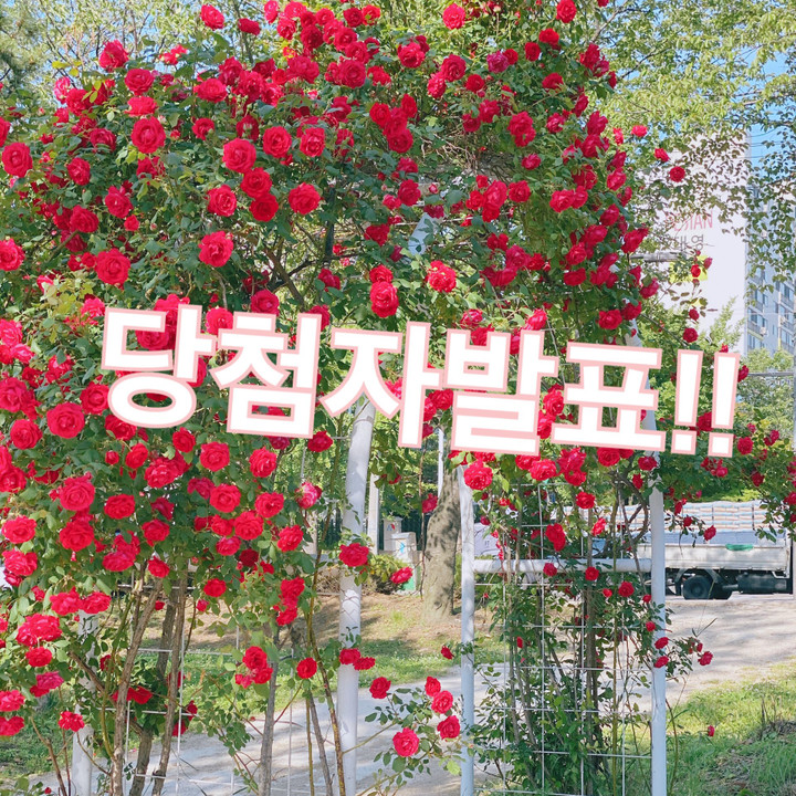 러브모어댄 | 스토리  러브모어댄