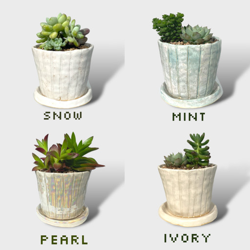 (6월할인)LINE POT set 아이디어스