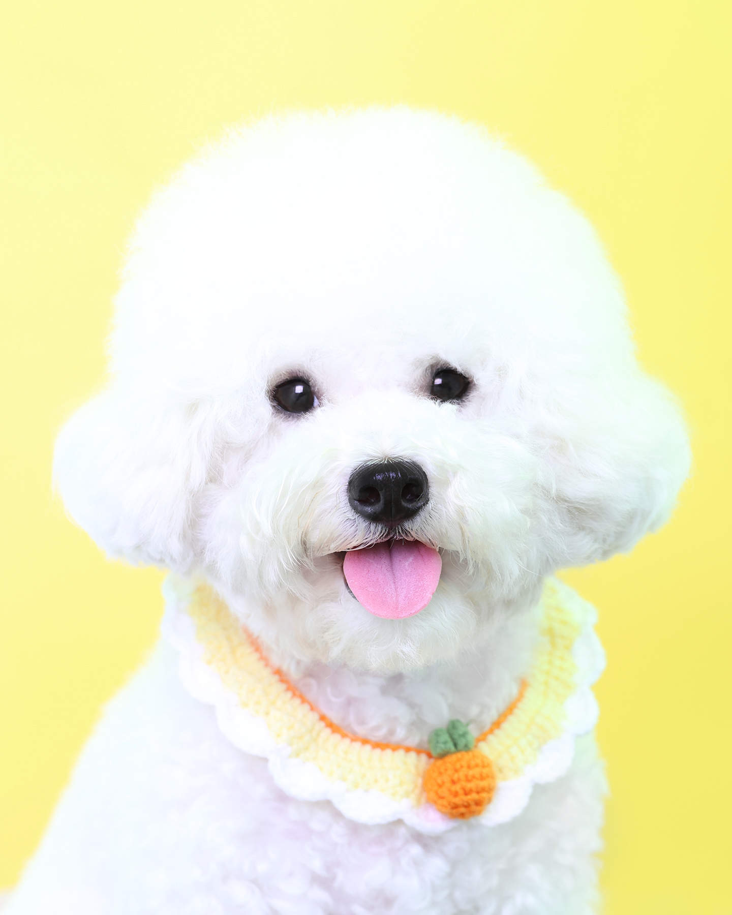따스움 | 구매후기 따스움