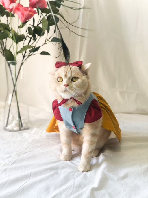 고양이 강아지옷]백설공주 원피스 | 아이디어스