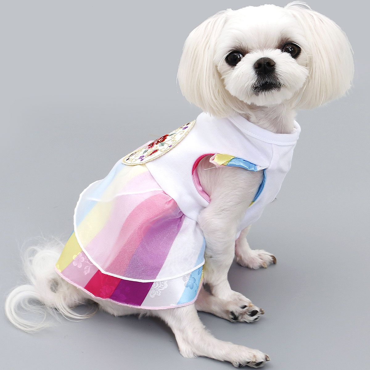 Dog hanbok outlet