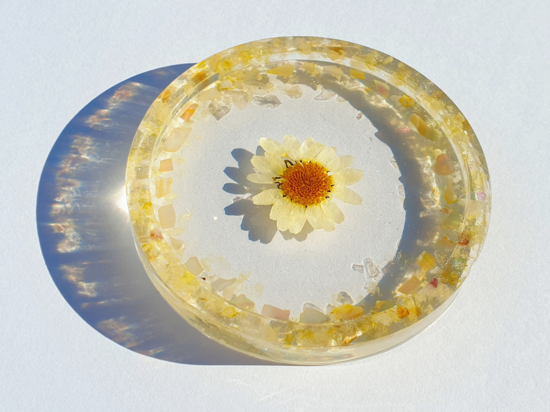 [Daisy with a handful of sunshine] Yellow Mother of Pearl Flower Drink ...