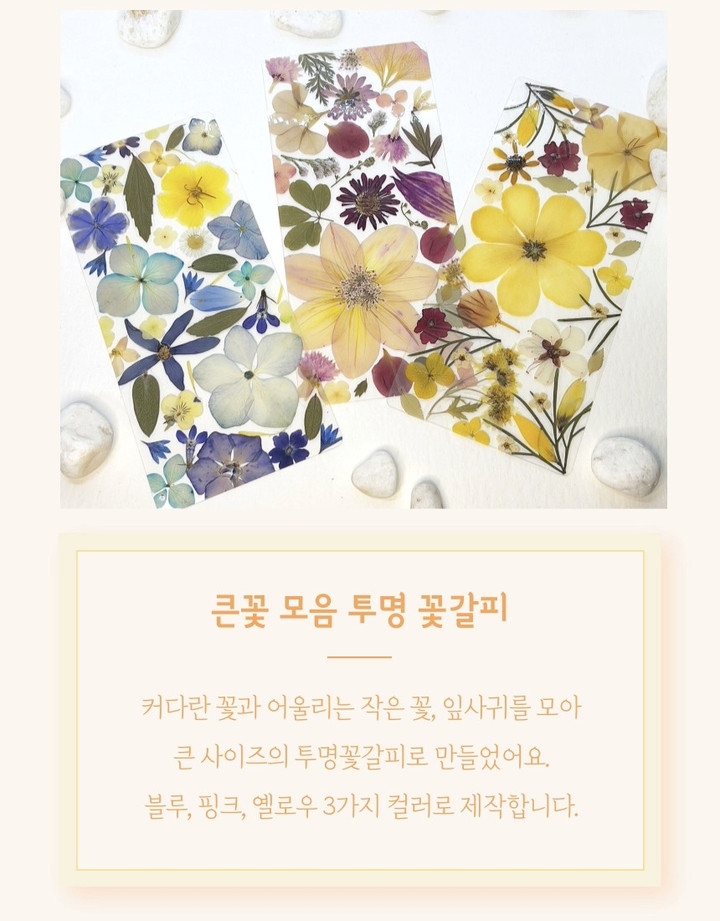 꽃모음 투명꽃갈피*압화책갈피 | 아이디어스 꽃모음 투명꽃갈피*압화책갈피 | 아이디어스