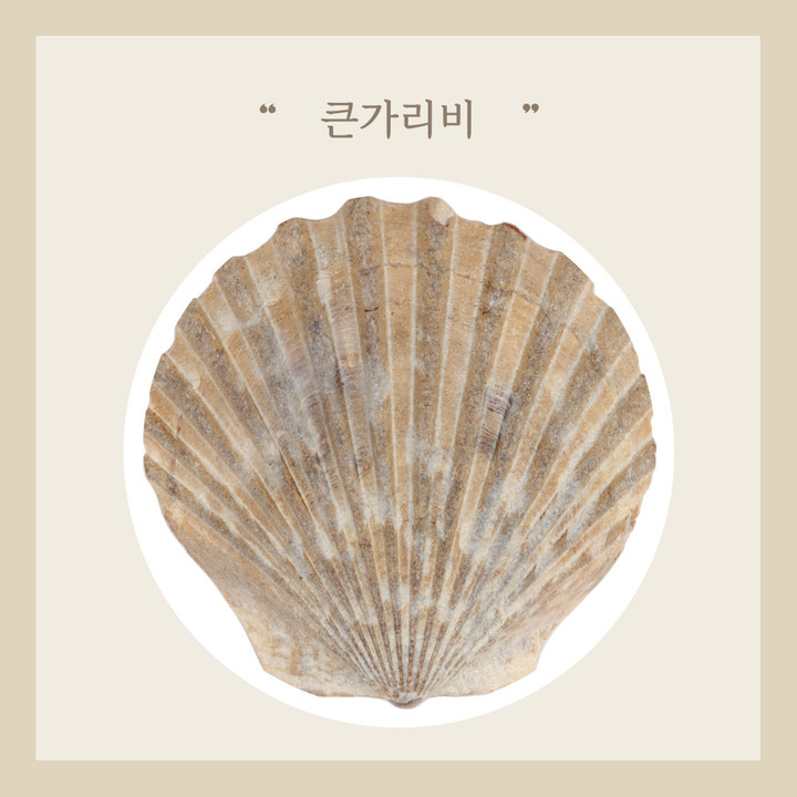 봉숙이네 (바다와함께) | 작가 피드 봉숙이네 (바다와함께)