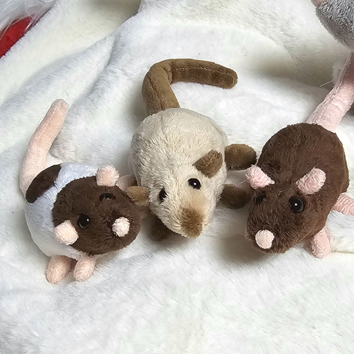 (주문제작) 나만의 아기 랫쥑쥑이 래트 인형 | 아이디어스 (주문제작) 나만의 아기 랫쥑쥑이 래트 인형 