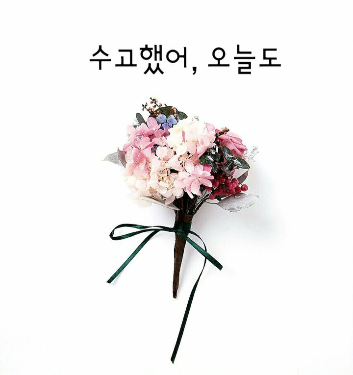 얀 스튜디오 (Yarn studio) | 스토리  얀 스튜디오 (Yarn studio)