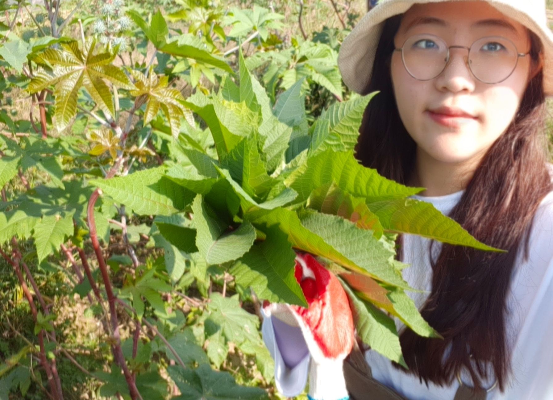 🍒비봉농원🍒 | 스토리  🍒비봉농원🍒
