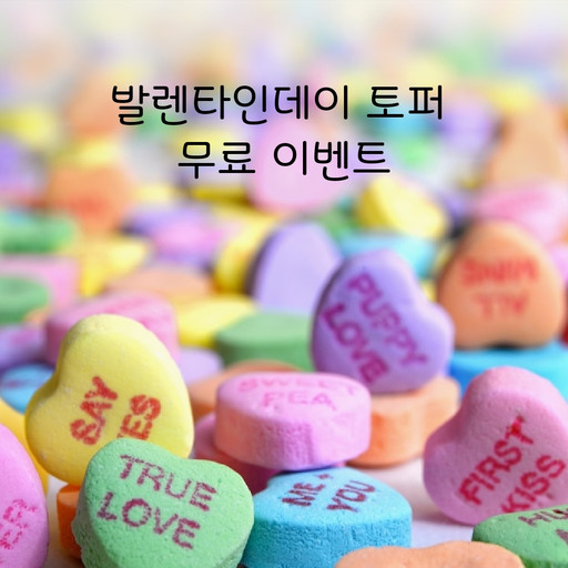 솔리토퍼 | 작가 피드 솔리토퍼 