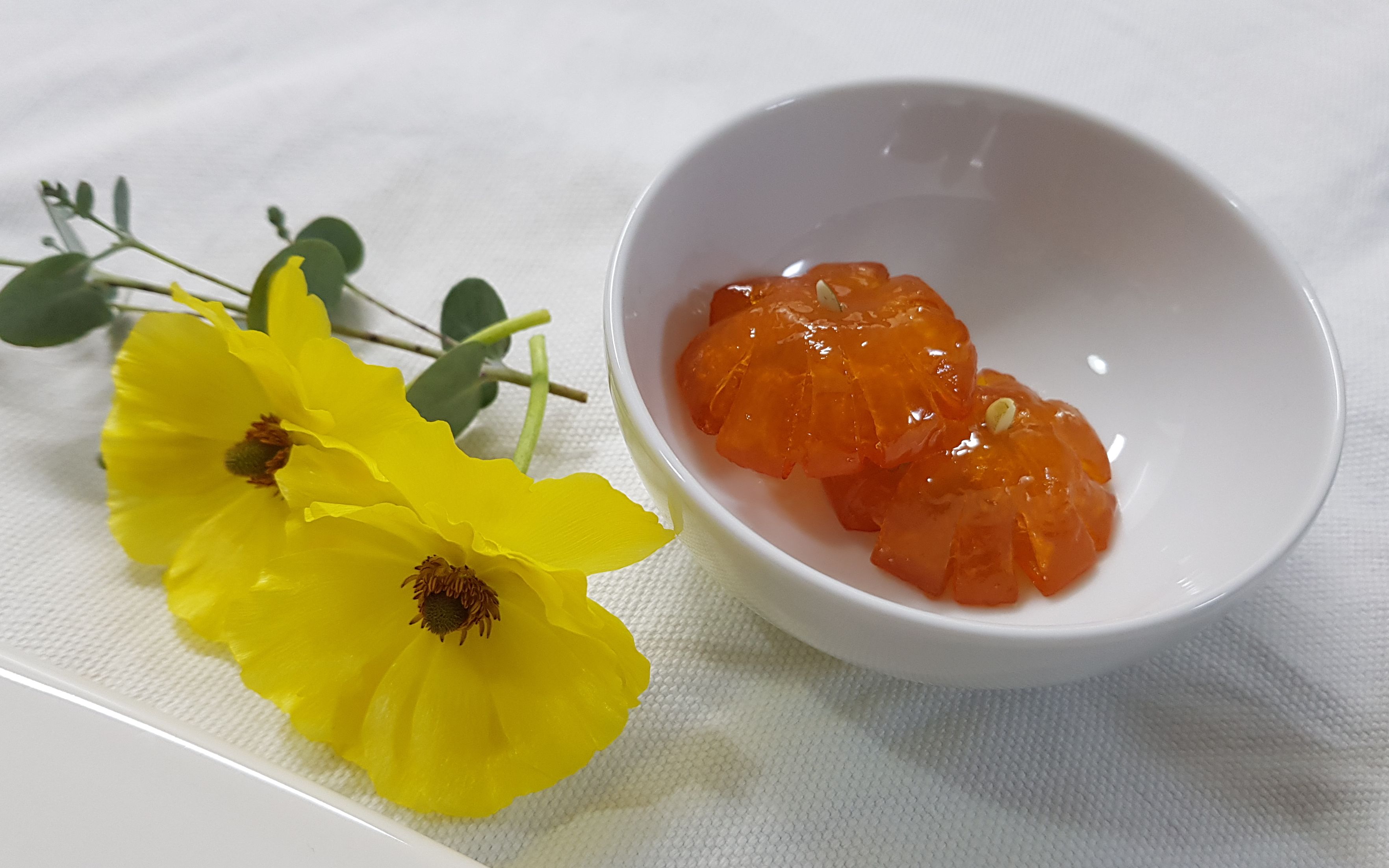 숙설방 | 작가 피드 숙설방