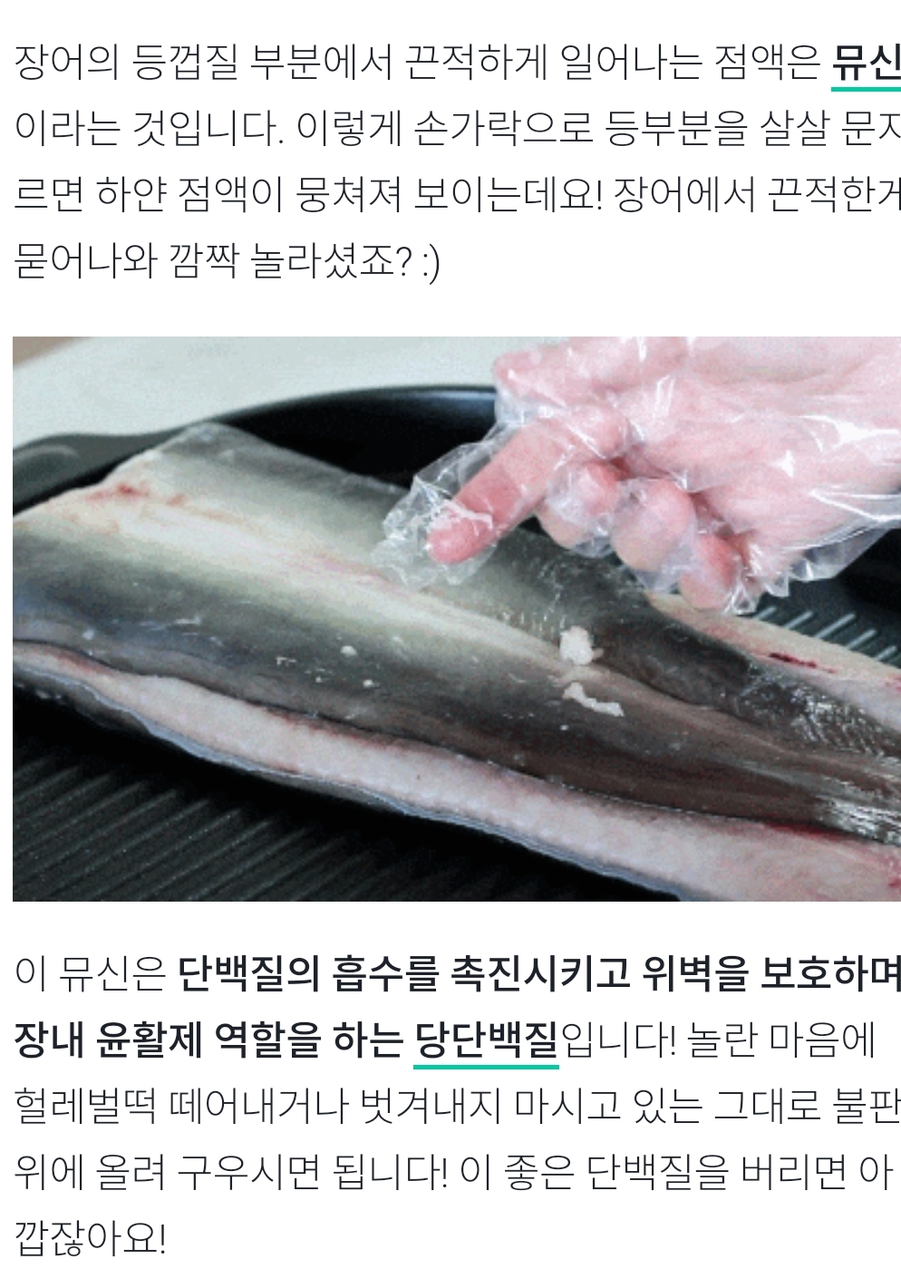 전남장흥 무태장어 | 작가 피드